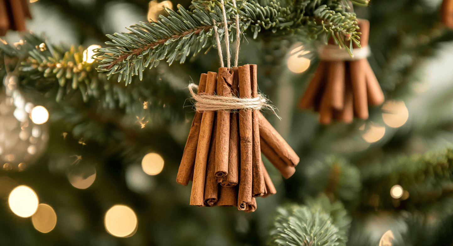 Cinnamon_Stick_Bundles_Tied_with_Twine